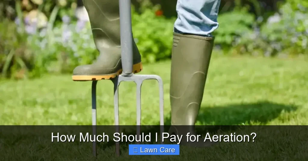 How Much Should I Pay for Aeration?