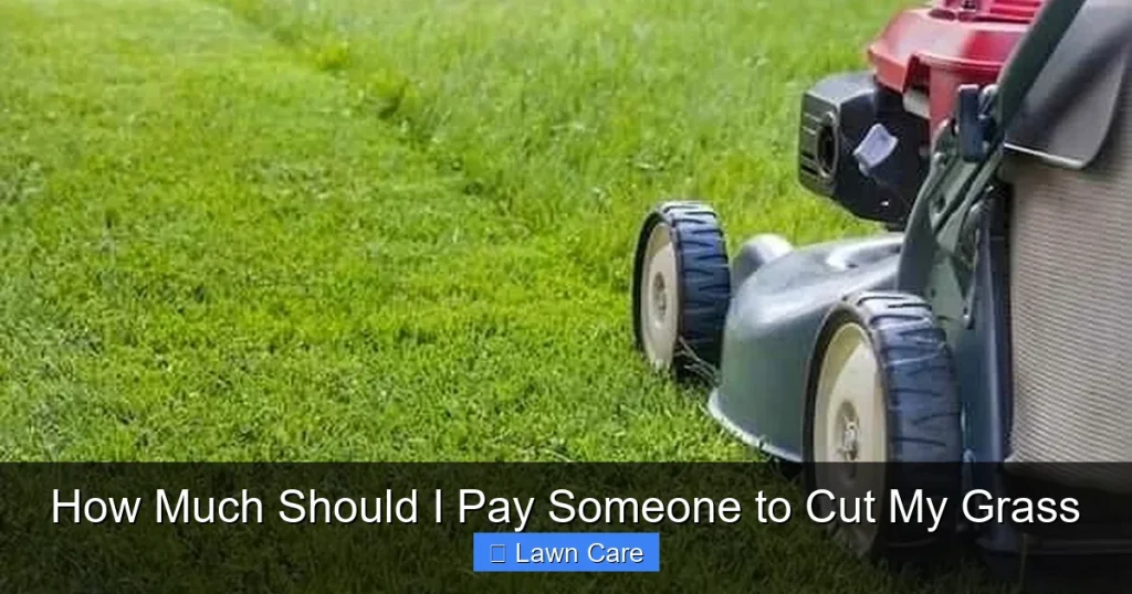 How Much Should I Pay Someone to Cut My Grass