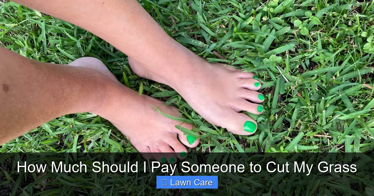 How Much Should I Pay Someone to Cut My Grass