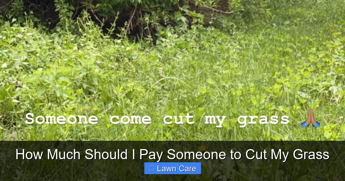 How Much Should I Pay Someone to Cut My Grass