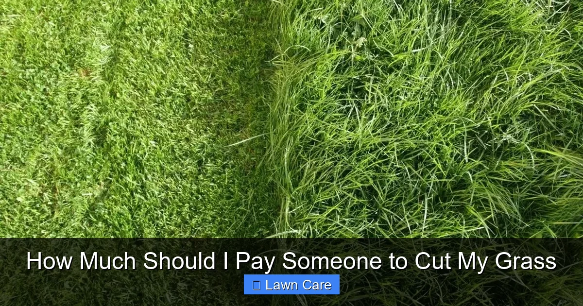 How Much Should I Pay Someone to Cut My Grass