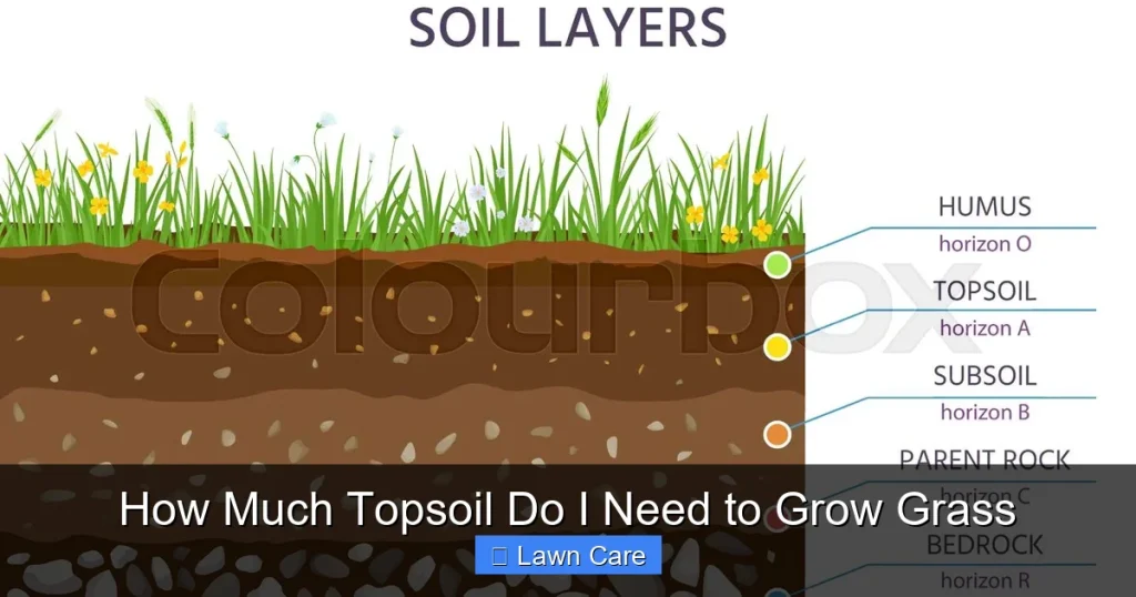 How Much Topsoil Do I Need to Grow Grass