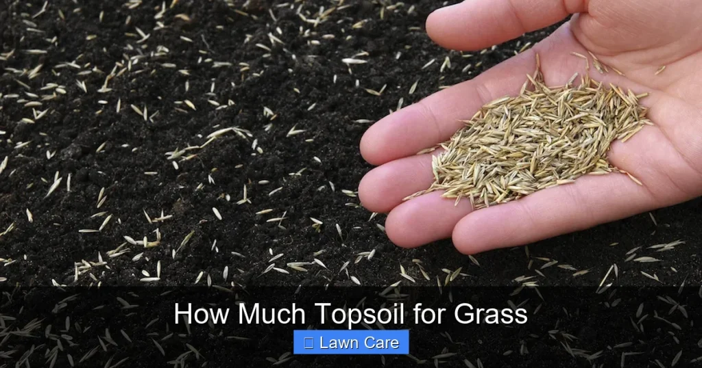 How Much Topsoil for Grass