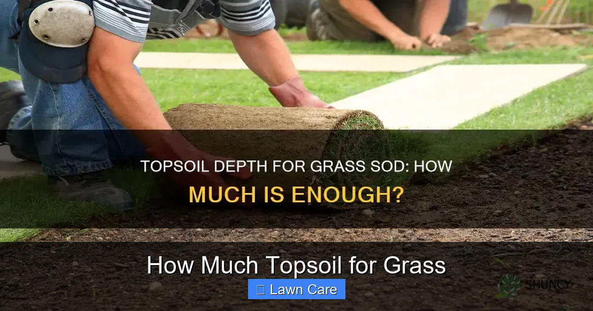 How Much Topsoil for Grass