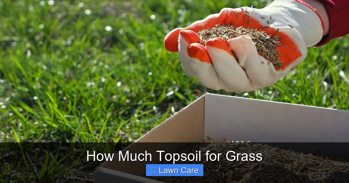 How Much Topsoil for Grass