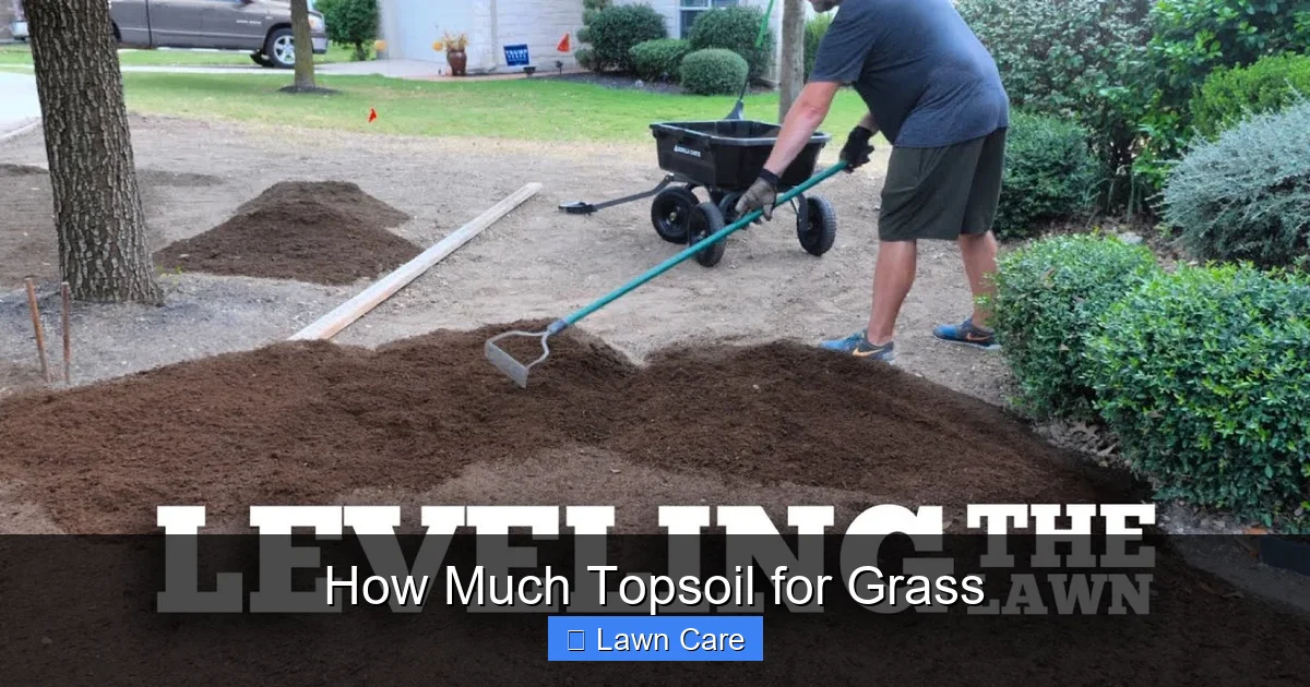 How Much Topsoil for Grass