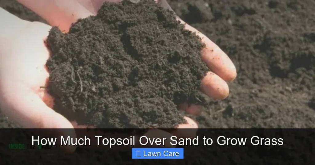 How Much Topsoil Over Sand to Grow Grass