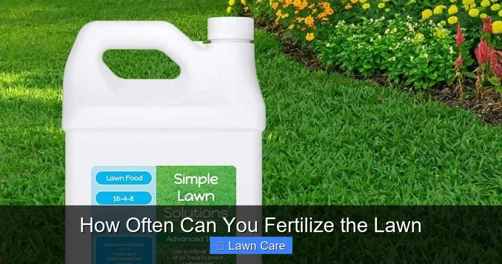 How Often Can You Fertilize the Lawn
