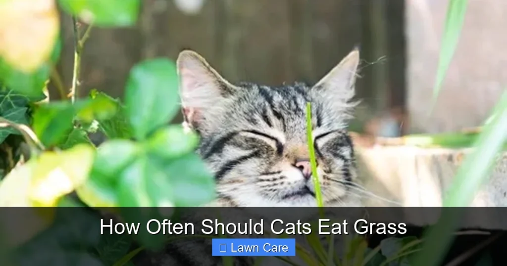 How Often Should Cats Eat Grass