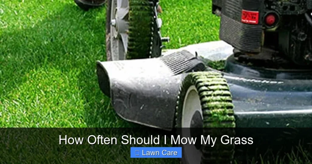 How Often Should I Mow My Grass