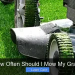 How Often Should I Mow My Grass