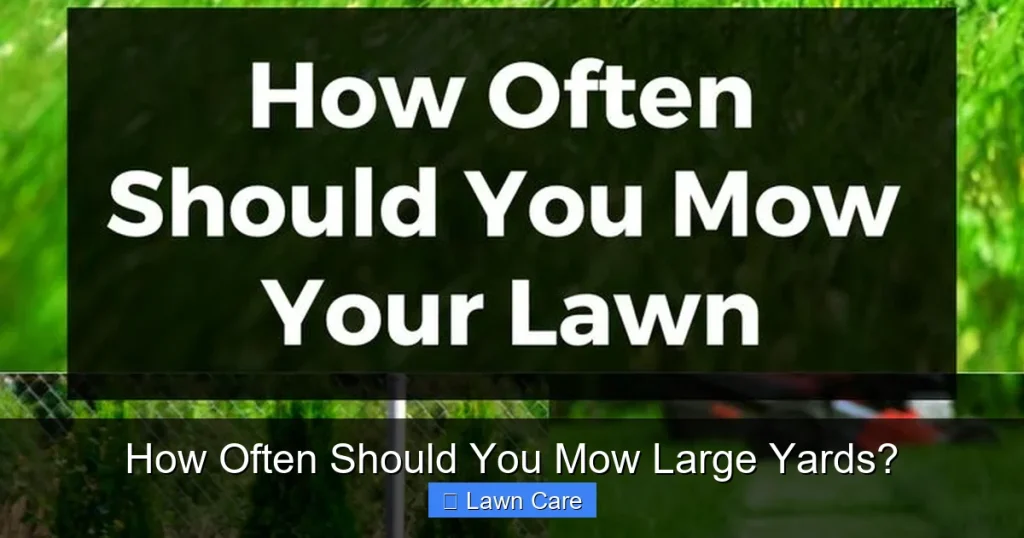 How Often Should You Mow Large Yards?