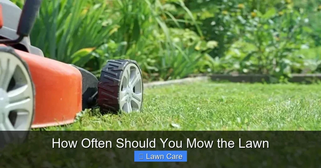 How Often Should You Mow the Lawn