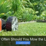 How Often Should You Mow the Lawn