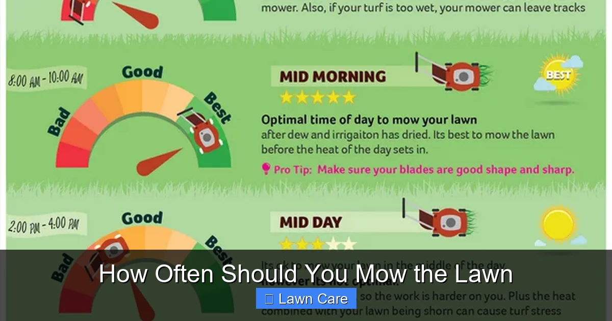 How Often Should You Mow the Lawn