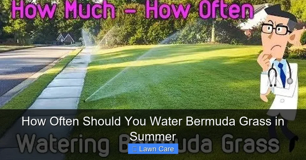 How Often Should You Water Bermuda Grass in Summer