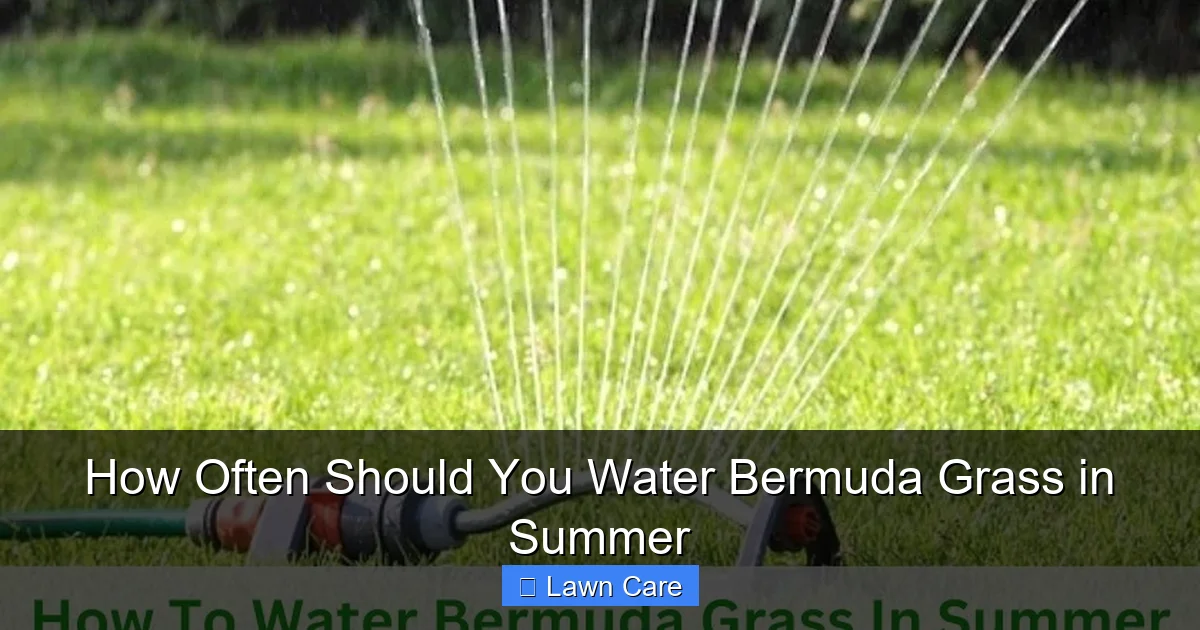 How Often Should You Water Bermuda Grass in Summer