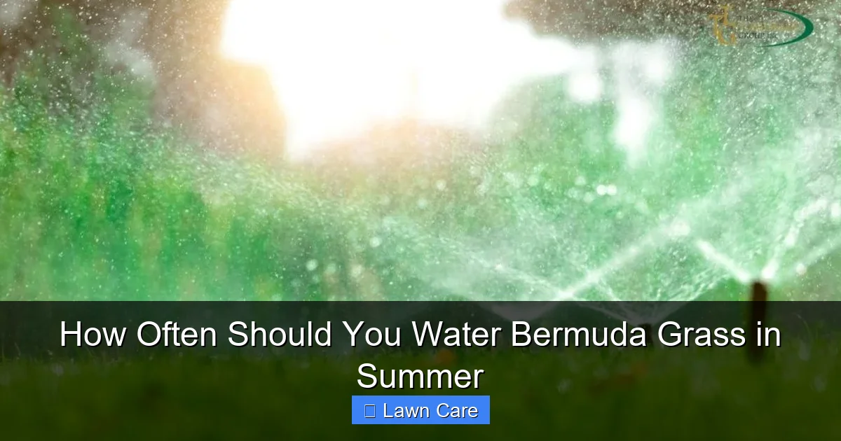 How Often Should You Water Bermuda Grass in Summer