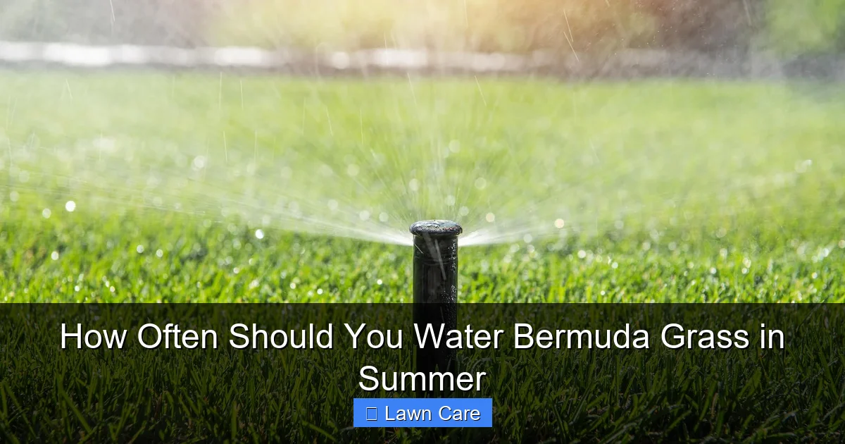 How Often Should You Water Bermuda Grass in Summer