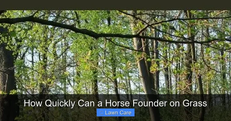 How Quickly Can a Horse Founder on Grass