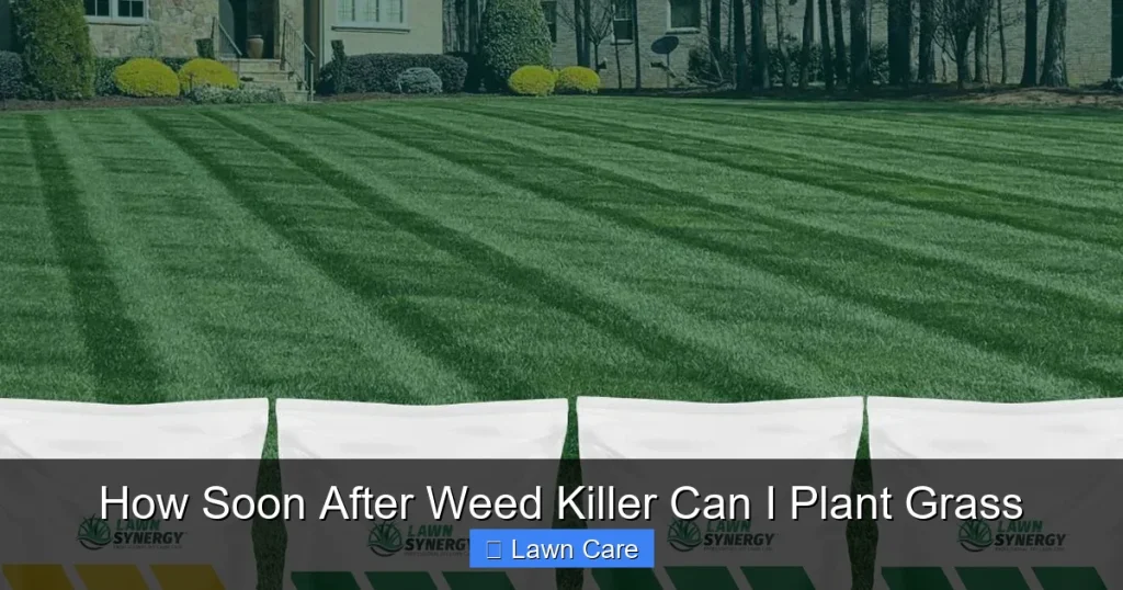 How Soon After Weed Killer Can I Plant Grass