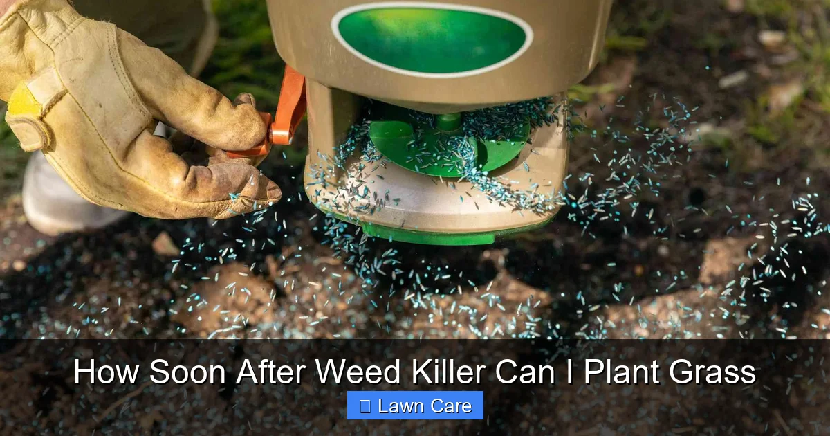 How Soon After Weed Killer Can I Plant Grass