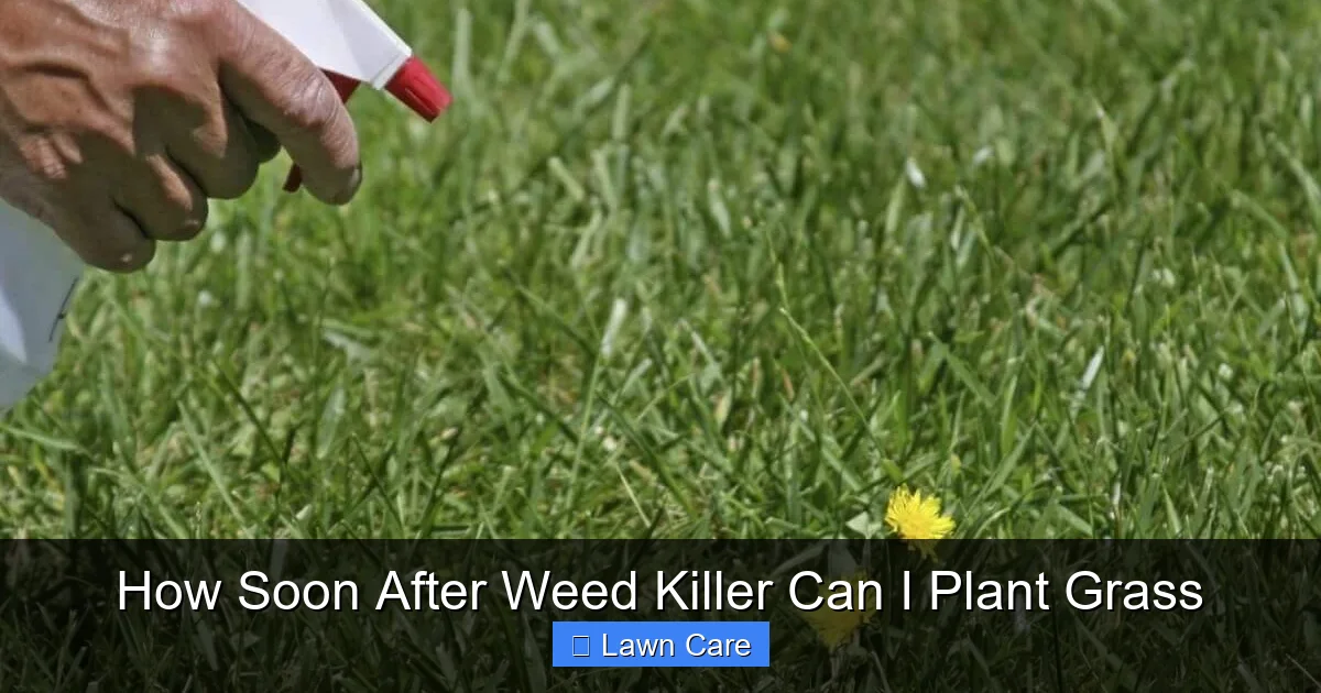 How Soon After Weed Killer Can I Plant Grass