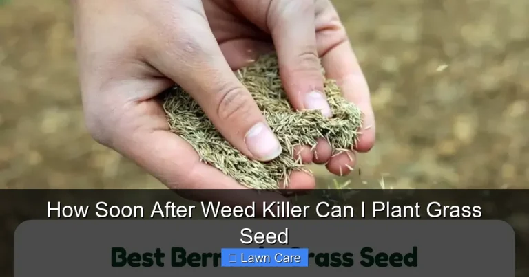 How Soon After Weed Killer Can I Plant Grass Seed
