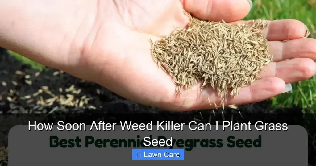 How Soon After Weed Killer Can I Plant Grass Seed