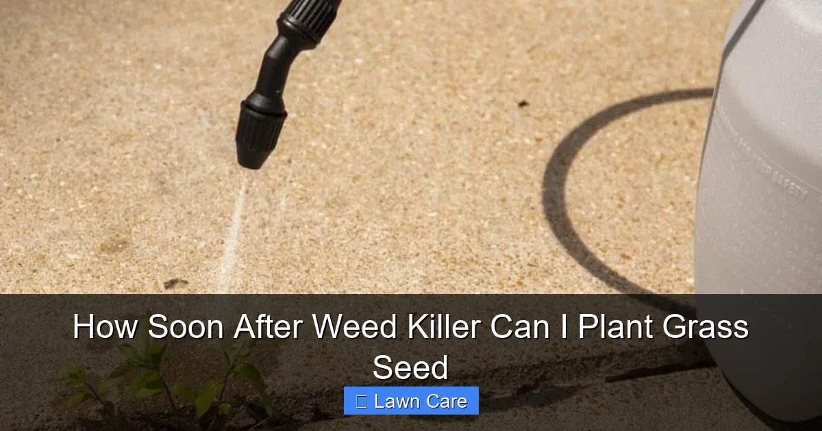 How Soon After Weed Killer Can I Plant Grass Seed