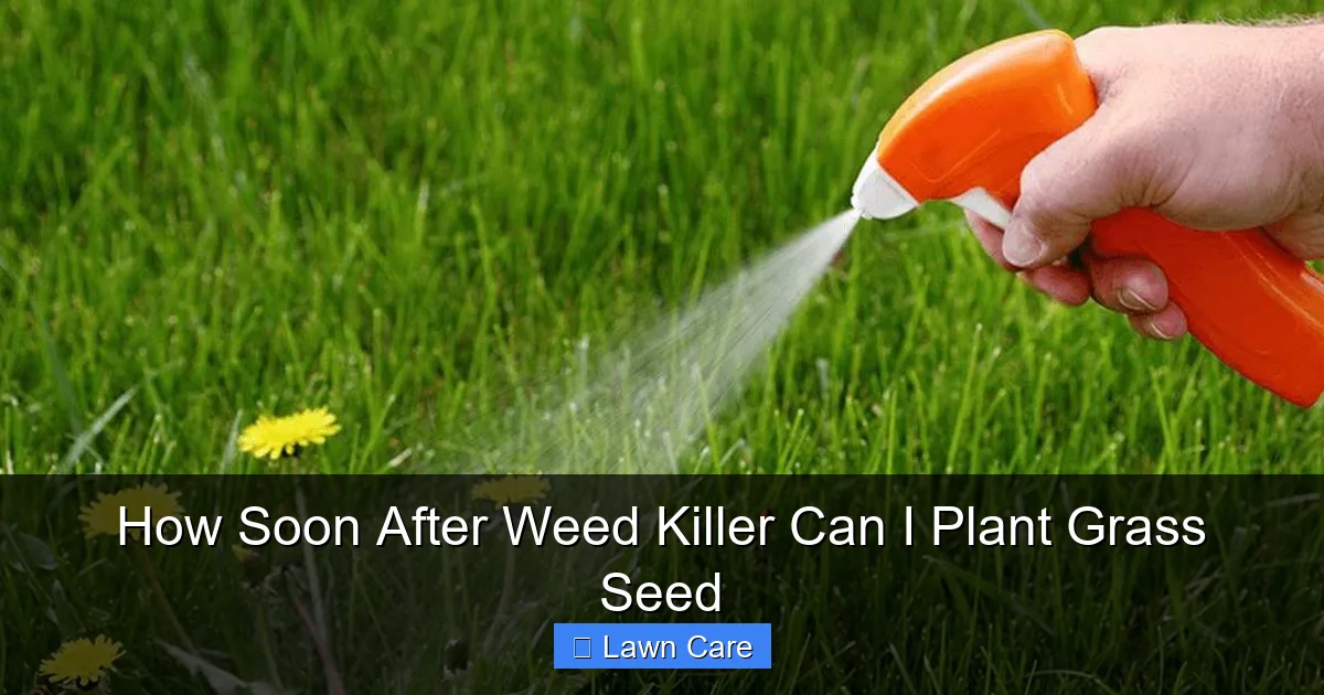 How Soon After Weed Killer Can I Plant Grass Seed