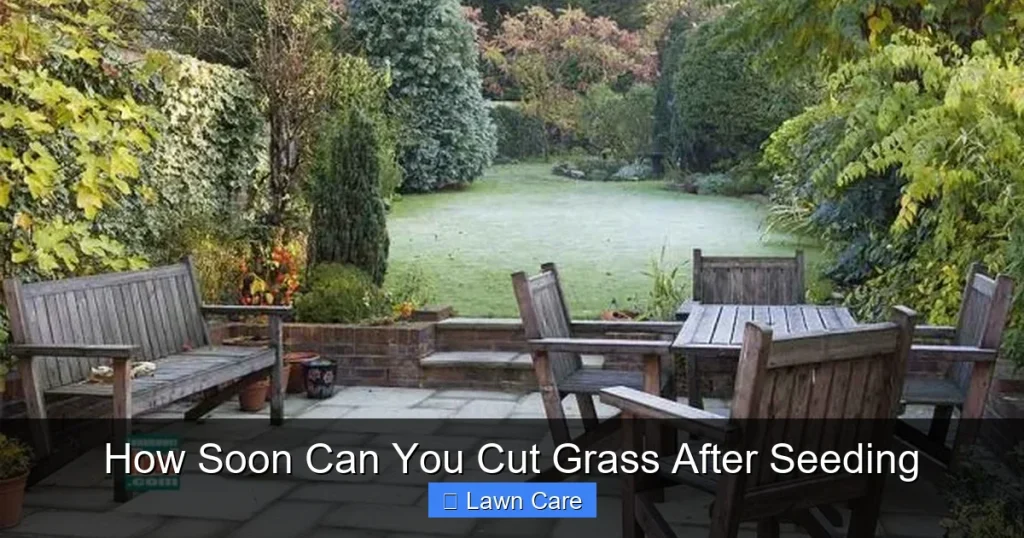 How Soon Can You Cut Grass After Seeding
