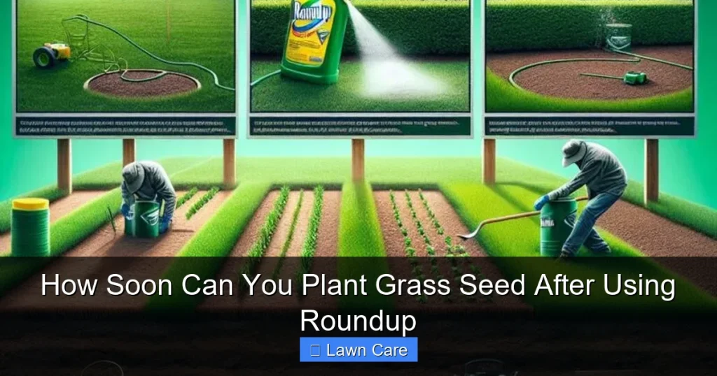How Soon Can You Plant Grass Seed After Using Roundup