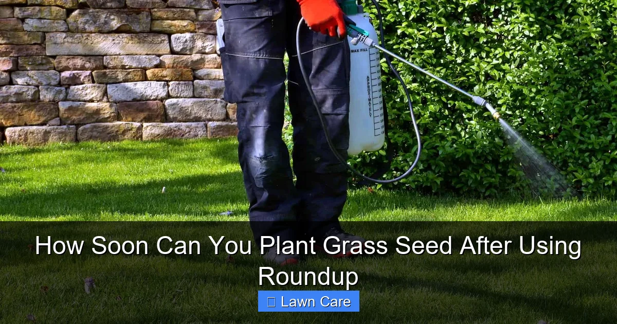 How Soon Can You Plant Grass Seed After Using Roundup