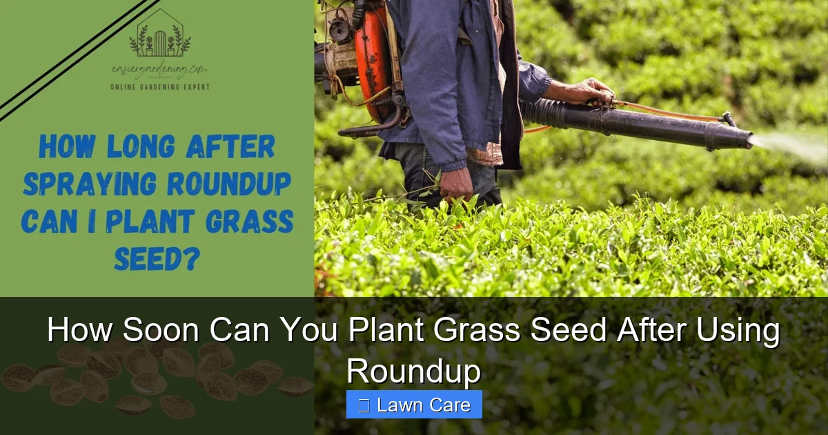 How Soon Can You Plant Grass Seed After Using Roundup