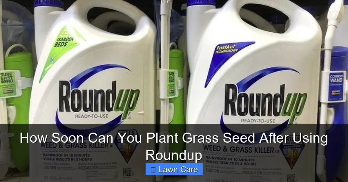 How Soon Can You Plant Grass Seed After Using Roundup