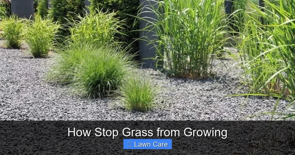 How Stop Grass from Growing