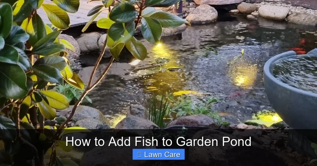 How to Add Fish to Garden Pond