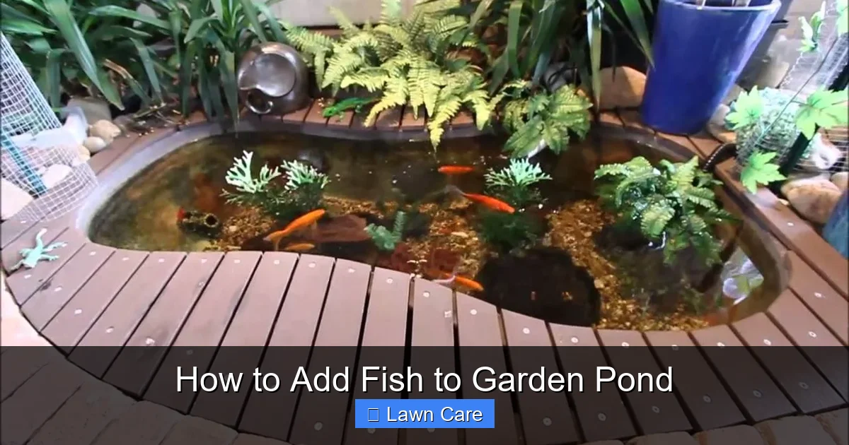 How to Add Fish to Garden Pond