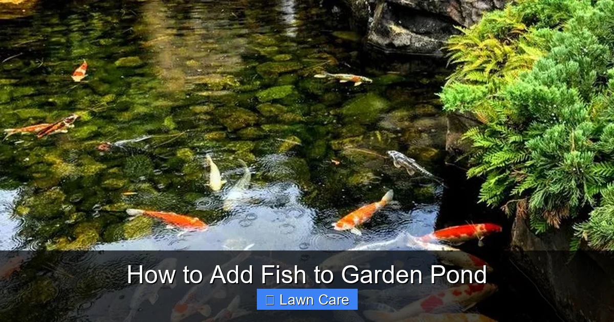 How to Add Fish to Garden Pond