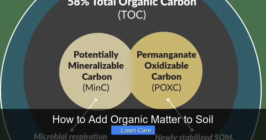 How to Add Organic Matter to Soil