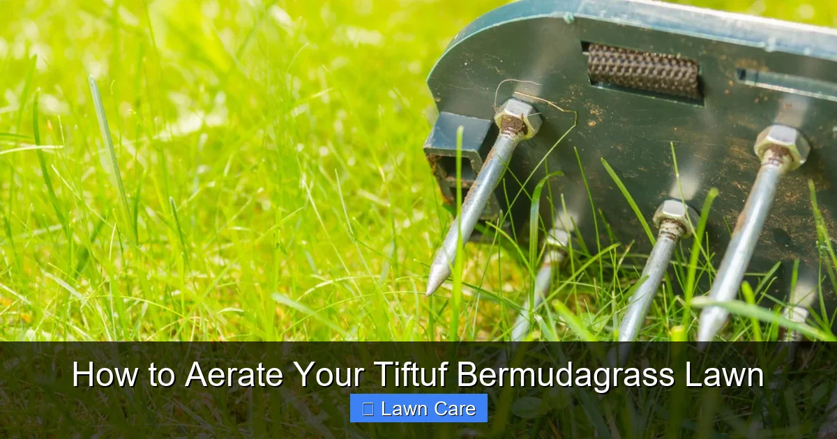 How to Aerate Your Tiftuf Bermudagrass Lawn