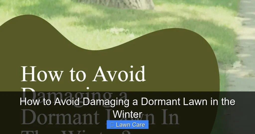 How to Avoid Damaging a Dormant Lawn in the Winter