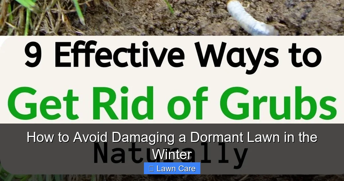 How to Avoid Damaging a Dormant Lawn in the Winter