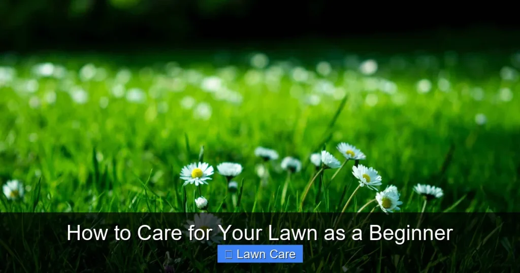 How to Care for Your Lawn as a Beginner