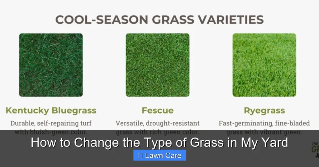 How to Change the Type of Grass in My Yard