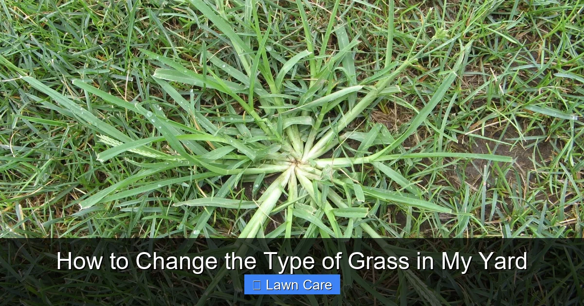 How to Change the Type of Grass in My Yard