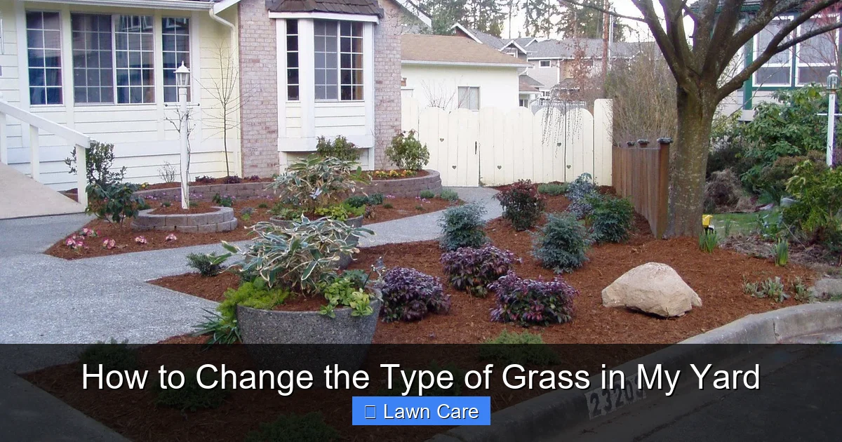 How to Change the Type of Grass in My Yard