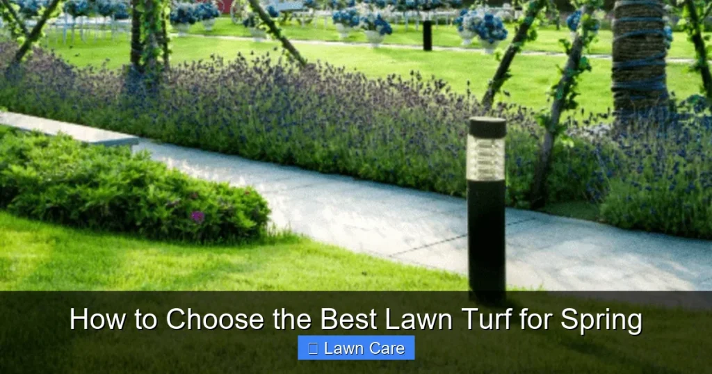 How to Choose the Best Lawn Turf for Spring