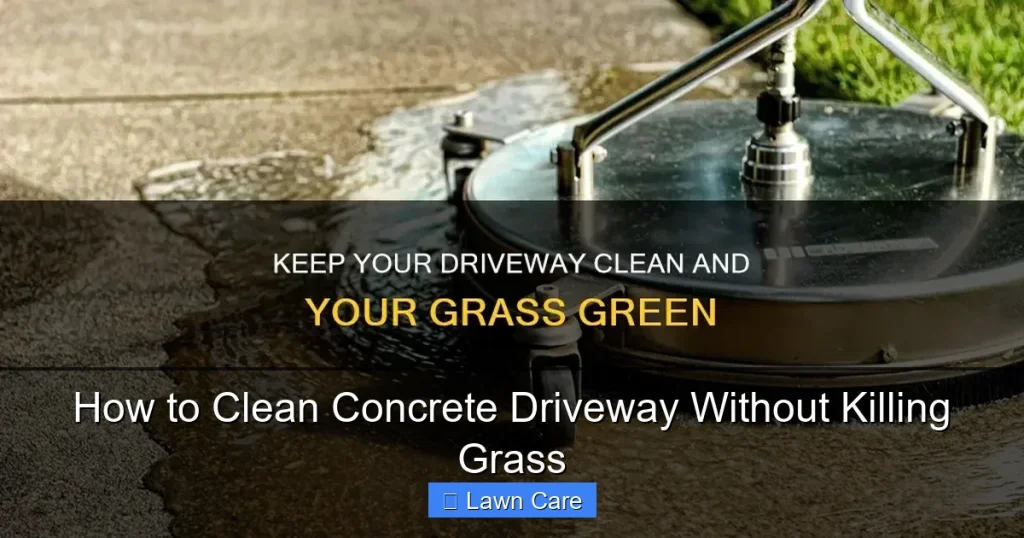 How to Clean Concrete Driveway Without Killing Grass